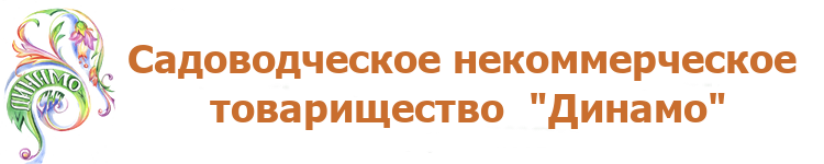 Bloggy